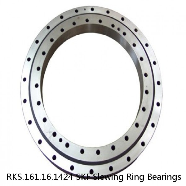 RKS.161.16.1424 SKF Slewing Ring Bearings
