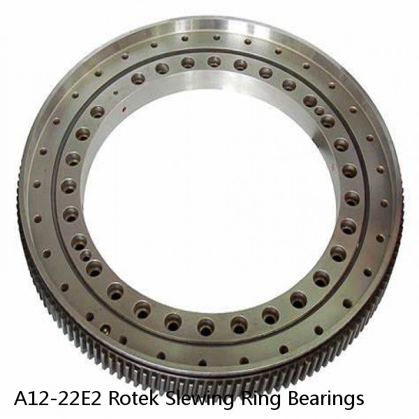A12-22E2 Rotek Slewing Ring Bearings