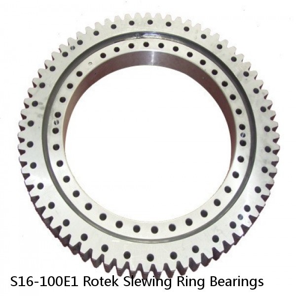 S16-100E1 Rotek Slewing Ring Bearings