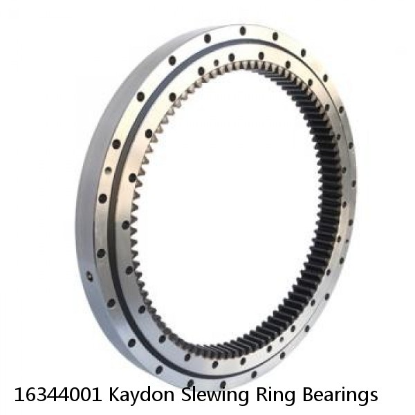 16344001 Kaydon Slewing Ring Bearings #1 small image