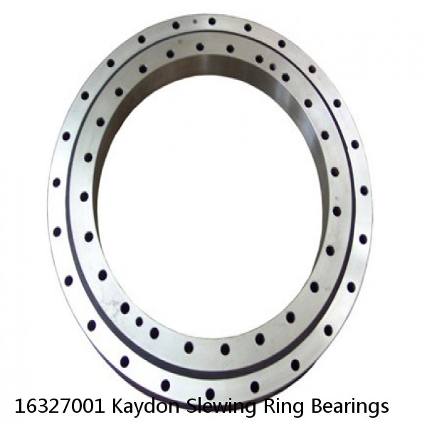 16327001 Kaydon Slewing Ring Bearings #1 small image