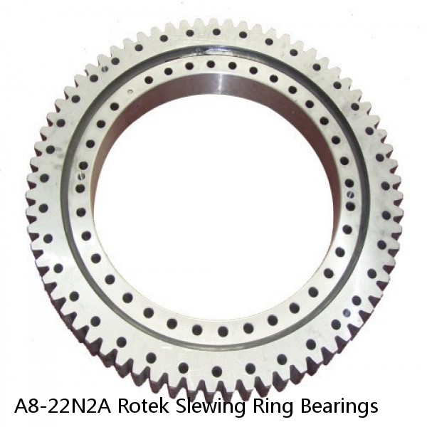 A8-22N2A Rotek Slewing Ring Bearings