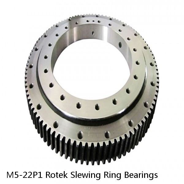 M5-22P1 Rotek Slewing Ring Bearings #1 small image