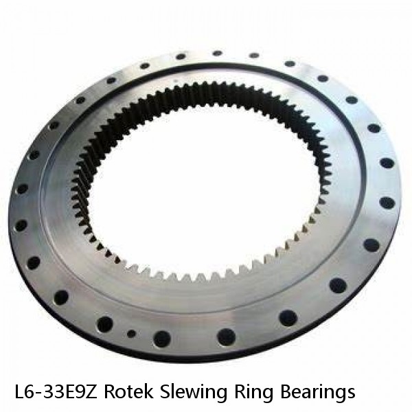 L6-33E9Z Rotek Slewing Ring Bearings #1 small image