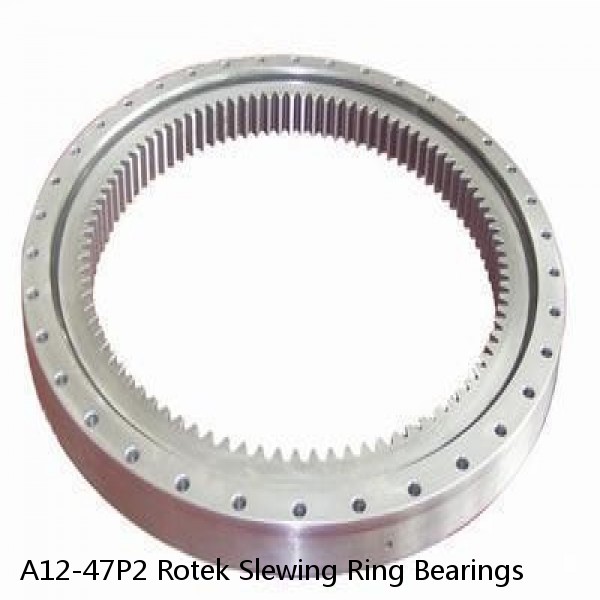 A12-47P2 Rotek Slewing Ring Bearings #1 small image