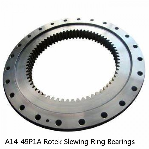 A14-49P1A Rotek Slewing Ring Bearings #1 small image
