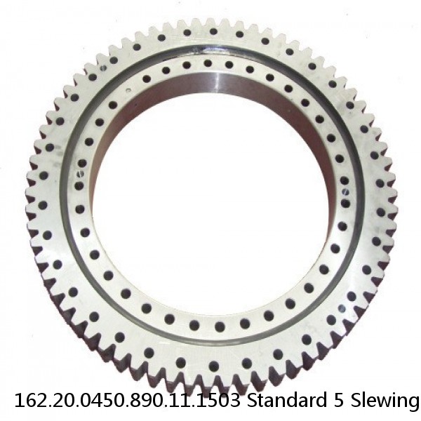 162.20.0450.890.11.1503 Standard 5 Slewing Ring Bearings #1 small image