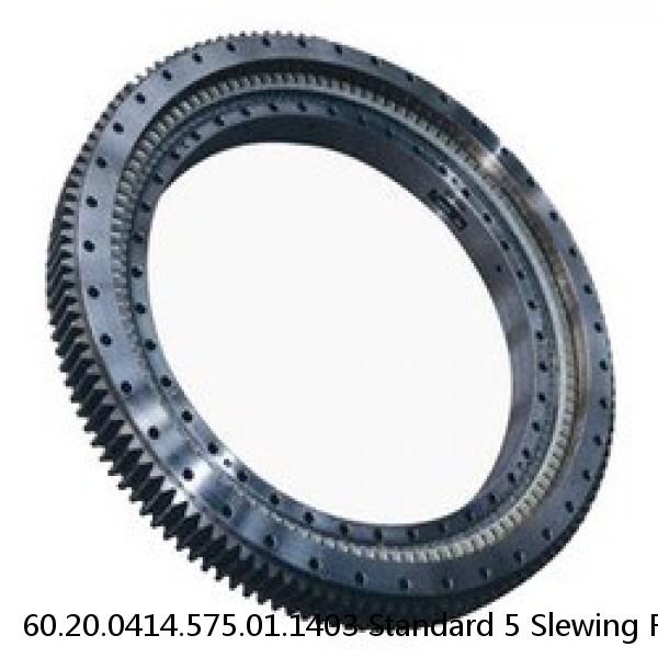 60.20.0414.575.01.1403 Standard 5 Slewing Ring Bearings #1 small image