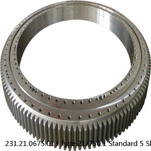 231.21.0675.013 Type 21/750.1 Standard 5 Slewing Ring Bearings #1 small image
