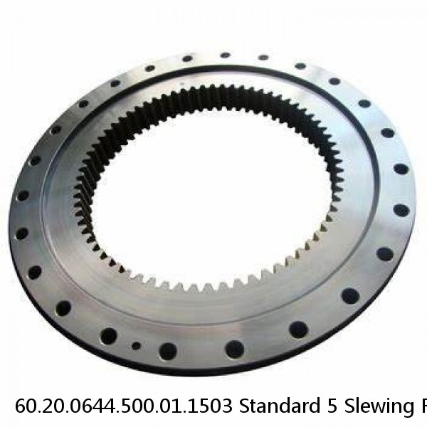 60.20.0644.500.01.1503 Standard 5 Slewing Ring Bearings #1 small image