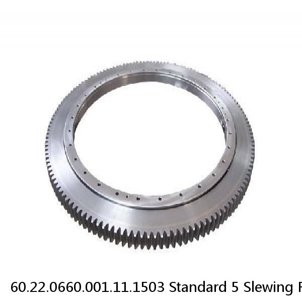 60.22.0660.001.11.1503 Standard 5 Slewing Ring Bearings