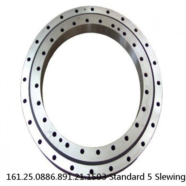 161.25.0886.891.21.1503 Standard 5 Slewing Ring Bearings #1 small image