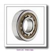 340 mm x 640 mm x 140 mm  ZKL T-49768 Special bearings #1 small image