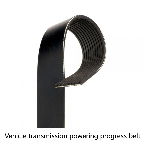 Vehicle transmission powering progress belt Multi-ribbed belt rubber PK belt for Gates 3pk740 for car #1 small image