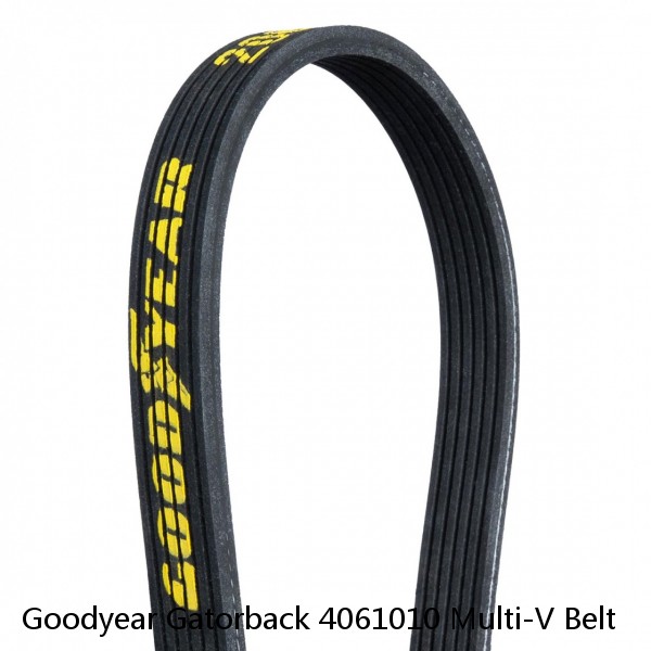 Goodyear Gatorback 4061010 Multi-V Belt #1 small image