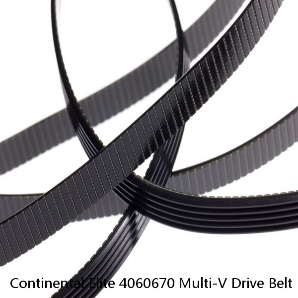 Continental Elite 4060670 Multi-V Drive Belt #1 small image