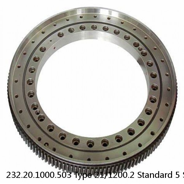 232.20.1000.503 Type 21/1200.2 Standard 5 Slewing Ring Bearings #1 image