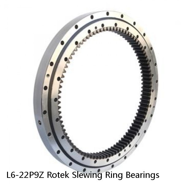 L6-22P9Z Rotek Slewing Ring Bearings #1 image