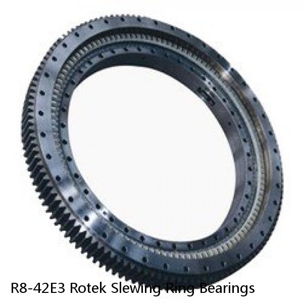 R8-42E3 Rotek Slewing Ring Bearings #1 image