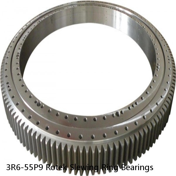 3R6-55P9 Rotek Slewing Ring Bearings #1 image