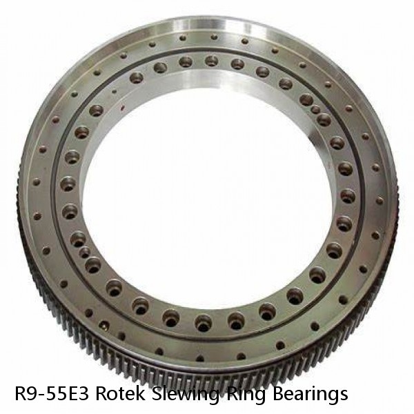 R9-55E3 Rotek Slewing Ring Bearings #1 image