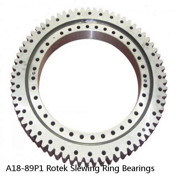 A18-89P1 Rotek Slewing Ring Bearings #1 image