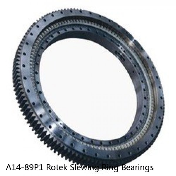 A14-89P1 Rotek Slewing Ring Bearings #1 image