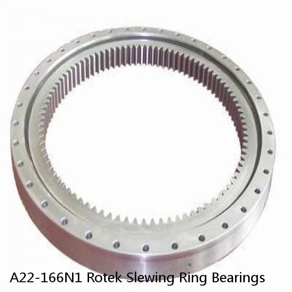 A22-166N1 Rotek Slewing Ring Bearings #1 image