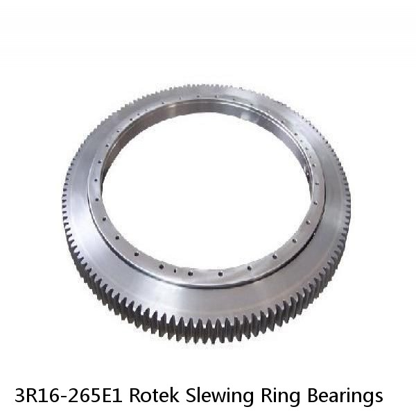 3R16-265E1 Rotek Slewing Ring Bearings #1 image