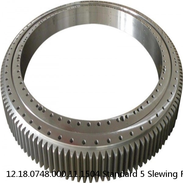 12.18.0748.000.11.1504 Standard 5 Slewing Ring Bearings #1 image