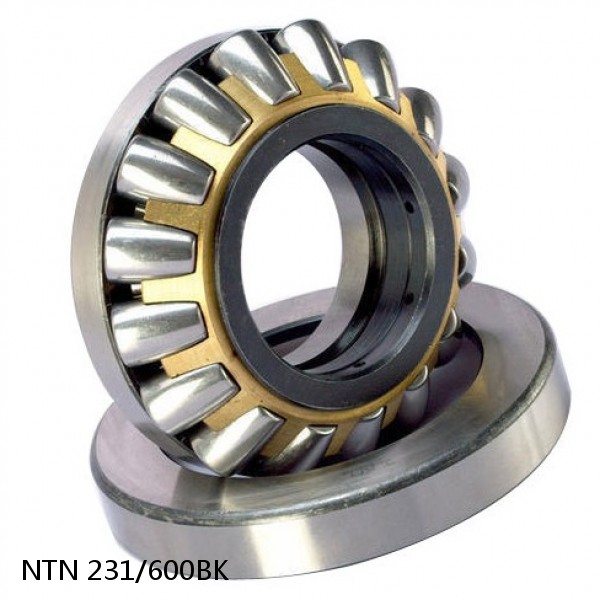 231/600BK NTN Spherical Roller Bearings #1 image