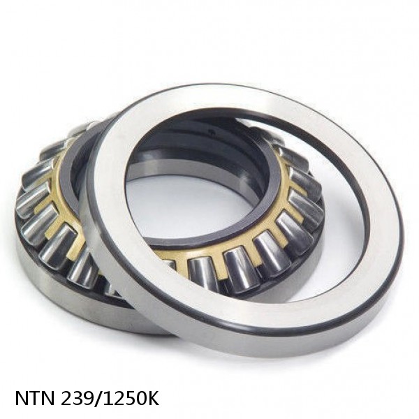 239/1250K NTN Spherical Roller Bearings #1 image