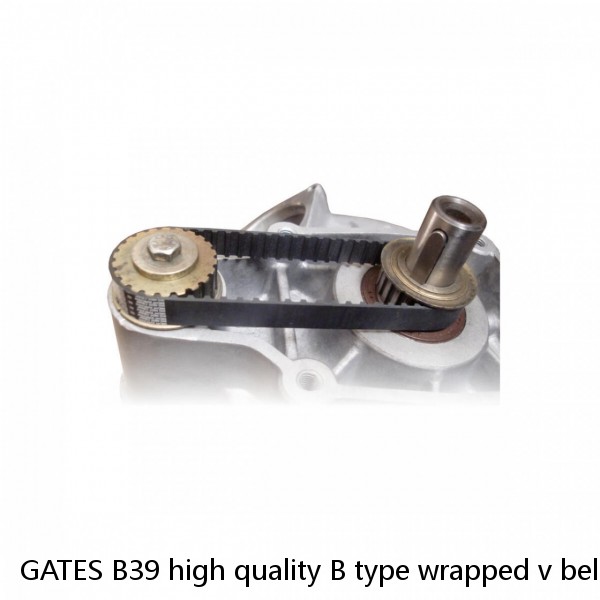 GATES B39 high quality B type wrapped v belt for brazil market #1 image