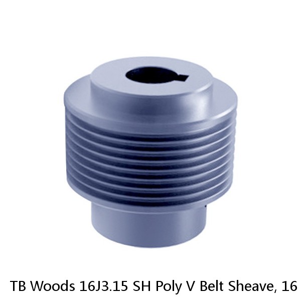 TB Woods 16J3.15 SH Poly V Belt Sheave, 16 Groove, J Type, 3.15" OD, SH Bushing #1 image